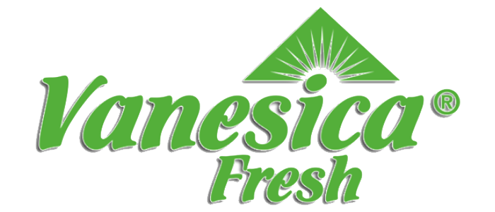 Logo Vanesica Fresh